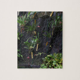 Quebra-cabeça Orquídea Drácula