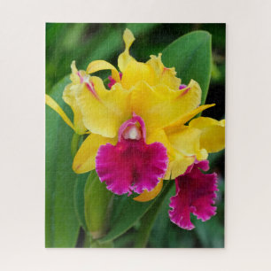 Quebra-cabeça Orquídea exótica em cor amarela e rosa quente