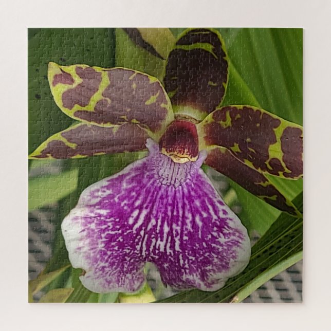 Quebra-cabeça Orquídea púrpura e verde (Vertical)
