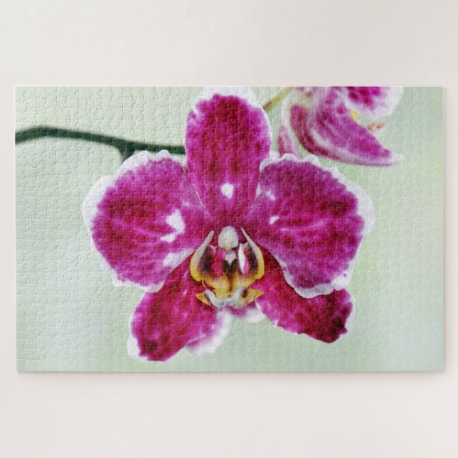 Quebra-cabeça Orquídea Rosa (Horizontal)