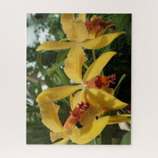 Quebra-cabeça Orquídeas