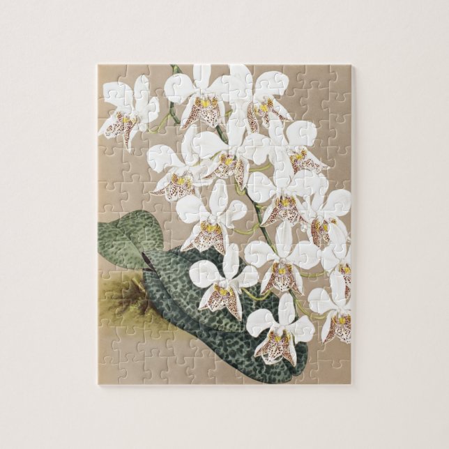 Quebra-cabeça Orquídeas (Vertical)
