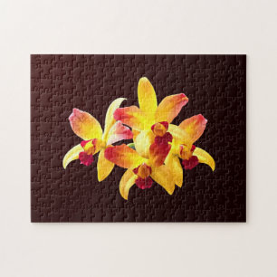 Quebra-cabeça Orquídeas Amarelas e Maroon Brassolaeliocattleya