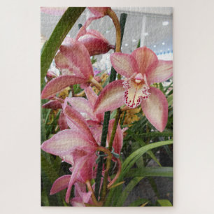 Quebra-cabeça Orquídeas cor-de-rosa do Cymbidium