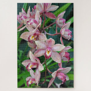 Quebra-cabeça Orquídeas de mariposa rosa