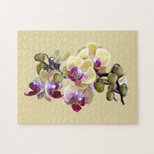 Quebra-cabeça Orquídeas de Phalaenopsis amarela clara e magenta