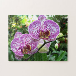 Quebra-cabeça Orquídeas-de-roxo-Quebra-cabeça