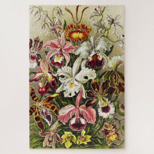 Quebra-cabeça Orquídeas, Orquídeas Denusblumen Ernst Haeckel