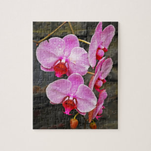 Quebra-cabeça Orquídeas rosa lindas