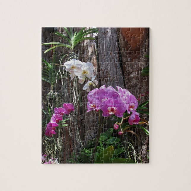 Quebra-cabeça Orquídeas tropicais (Vertical)