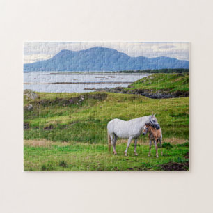 Quebra-cabeça Os cavalos de Connemara Galway, Ireland