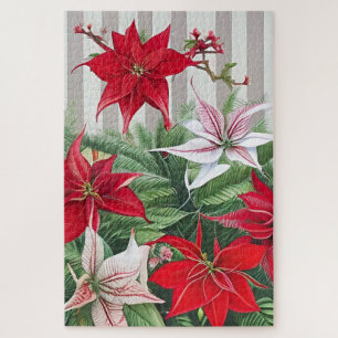 Quebra-cabeça Os híbridos Red Amaryllis e Poinsettia