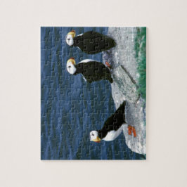 Quebra-cabeça Os papagaio-do-mar de Alaska emplumaram-se