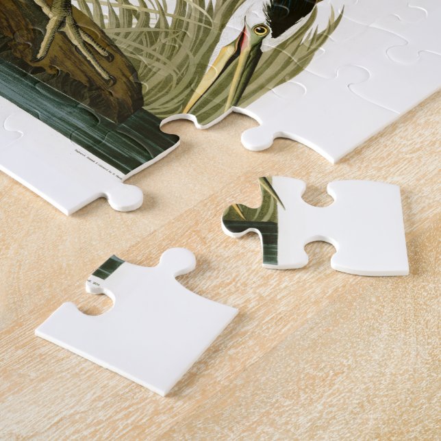 Quebra-cabeça Os pássaros de John Audubon da garça-real de (Lateral)