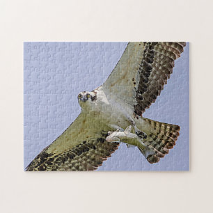 Quebra-cabeça Osprey com peixe
