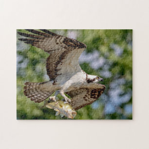 Quebra-cabeça Osprey com um grande baixo da boca