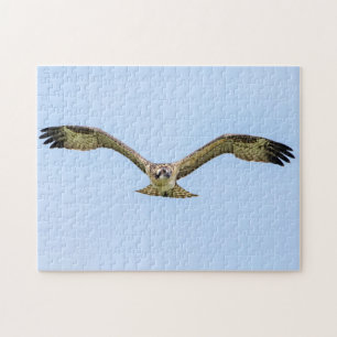 Quebra-cabeça Osprey em voo