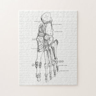 Quebra-cabeça Ossos da arte da anatomia do vintage do pé