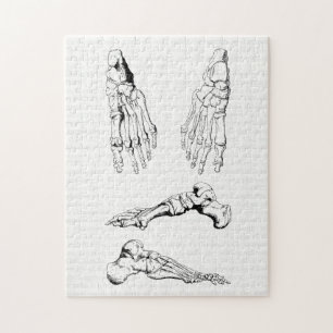 Quebra-cabeça Ossos da arte da anatomia do vintage do pé