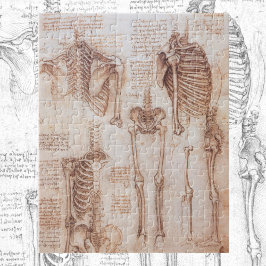 Quebra-cabeça Ossos do Esqueleto da Anatomia Humana de Leonardo