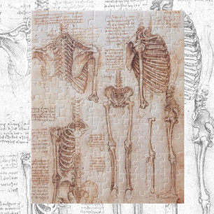 Quebra-cabeça Ossos do Esqueleto da Anatomia Humana de Leonardo