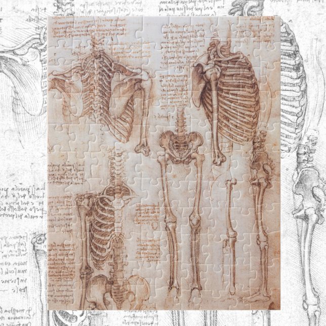Quebra-cabeça Ossos do Esqueleto da Anatomia Humana de Leonardo  (Criador carregado)