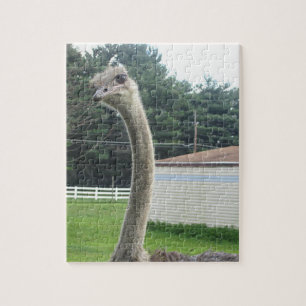 Quebra-cabeça Ostrich