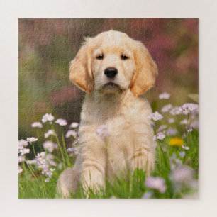 Quebra-cabeça Ouro de um cachorro do Retriever um Goldie