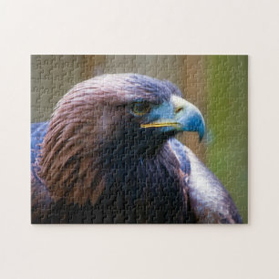 Quebra-cabeça Ouro Eagle Jigsera