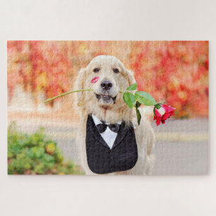 Quebra-cabeça Ouro Retriever Rosa vermelha Amor Cão Natureza An