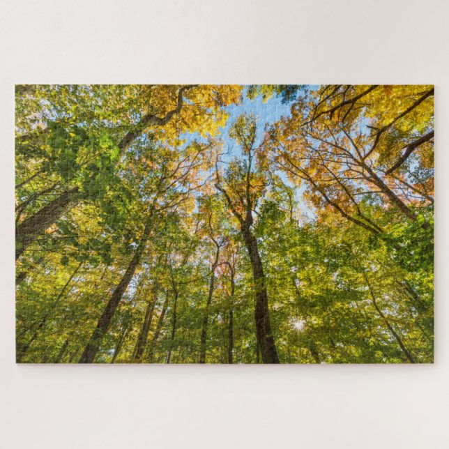 Quebra-cabeça Outono numa floresta em Amesbury, Massachusetts (Horizontal)