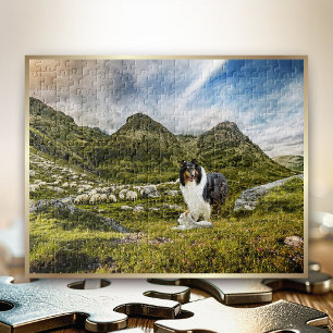 Quebra-cabeça Ovelhas Herdando Tricolor Rough Collie em Highland