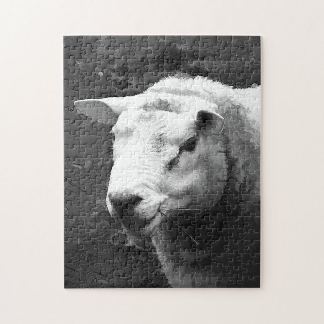 QUEBRA-CABEÇA OVINO DE BOVINO (Vertical)