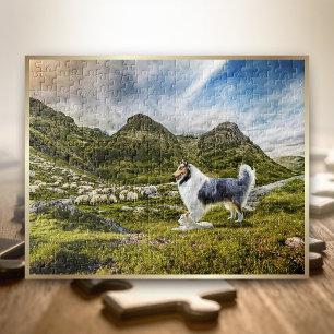 Quebra-cabeça Ovinos Herdando Azul Merle Rough Collie -