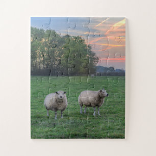 Quebra-cabeça Ovinos no Campo com Sunset