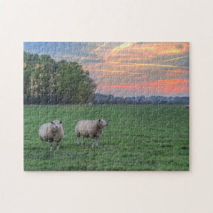 Quebra-cabeça Ovinos no Campo com Sunset