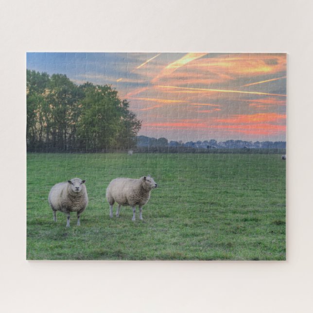 Quebra-cabeça Ovinos no Campo com Sunset (Horizontal)