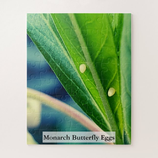Quebra-cabeça Ovos de Borboleta Monarca 56 Peças (Vertical)