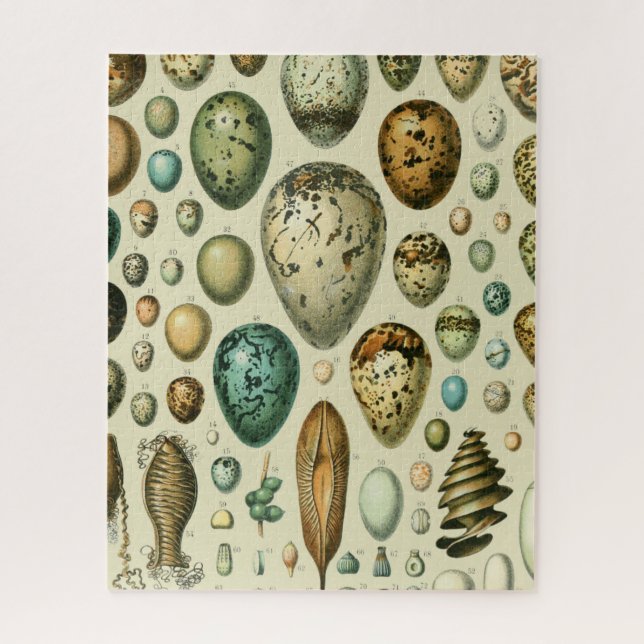 Quebra-cabeça Ovos de Pássaros Antigos Arte de Ovos de Peixe Fra (Vertical)
