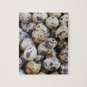 Quebra-cabeça Ovos de Quail