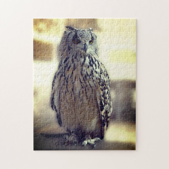 Quebra-cabeça Owl Experience Somerset Camera Pose Bird Foto (Vertical)