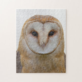 Quebra-cabeça Owl Face Bird
