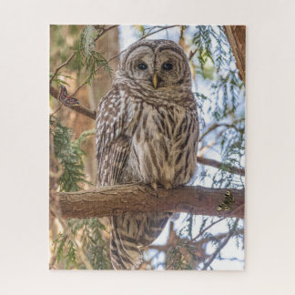 Quebra-cabeça Owl Sitting in Tree Nature Puzzle