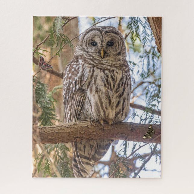 Quebra-cabeça Owl Sitting in Tree Nature Puzzle (Vertical)