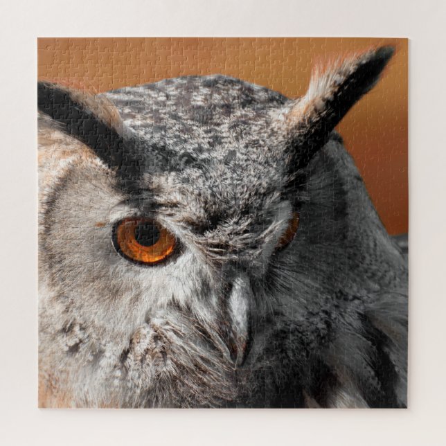 Quebra-cabeça Owl Stare (Vertical)