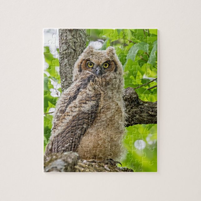 Quebra-cabeça Owlet (Vertical)