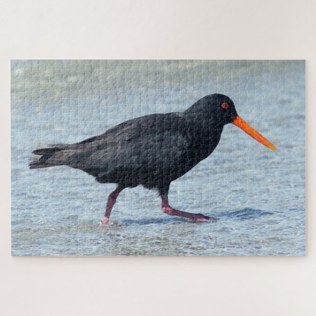 Quebra-cabeça OYSTERCATCHER 20x30 POLEGADAS (Horizontal)