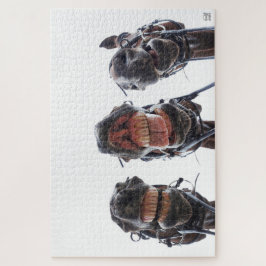 Quebra-cabeça Paarden in de mond gekeken. 3 paarden lachend.