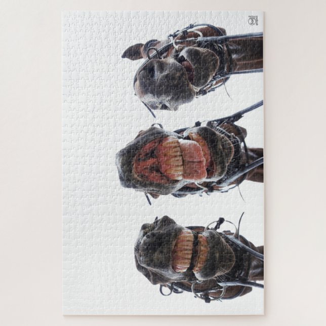 Quebra-cabeça Paarden in de mond gekeken. 3 paarden lachend. (Vertical)