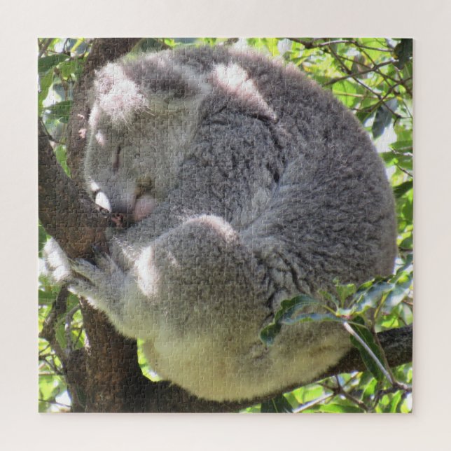 Quebra-cabeça pacote koala (Vertical)